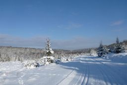 <p>Cross country skiing classes in the Ardennes</p> in 